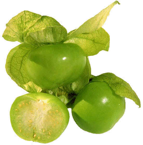 Tomatillo